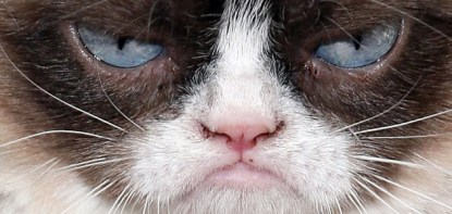 grumpy