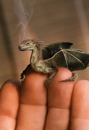Mini dragón para efecto del drama.
